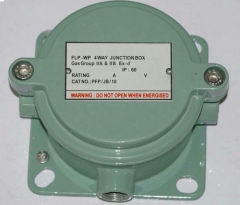 Flameproof WP Junction Boxes