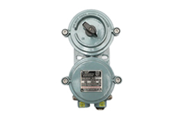 Lockable Rotary Switch