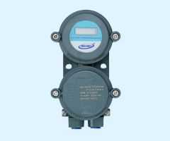 FLP Temperature Indicator 10A / 230 V AC