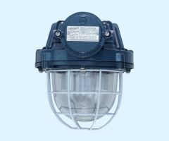 FLP Well Glass Light Upto 60 W