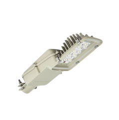 Raptor Neo LED Street Light