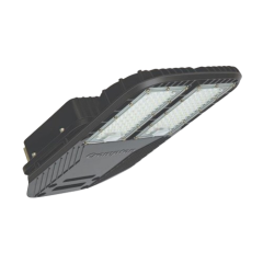 Wanderer Plus LED Street Light